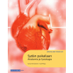 Sydän paikallaan