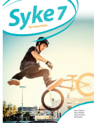 Syke 7