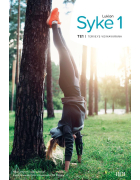 Lukion Syke 1
